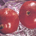N09_Punica_granatum_Wonderful_Pomegranate.jpg