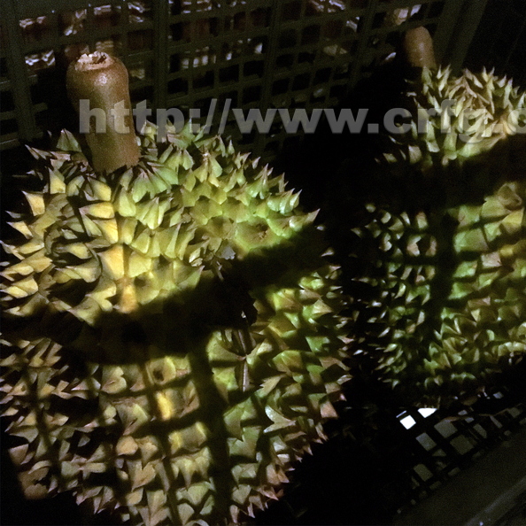 basket of durian