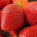 K Cross Strawberries  2022.jpg
