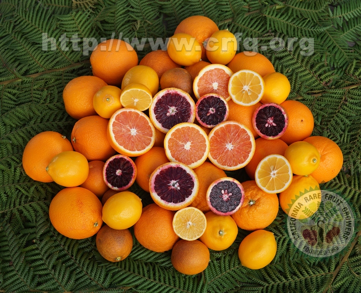 K14_California grown citrus.jpg