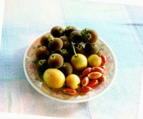 D03_Fruit_Plate_Phillipe_Laborie.jpg